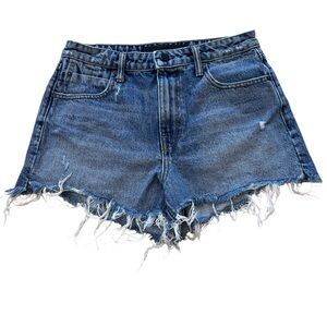 Alexander Wang Bite Denim Shorts